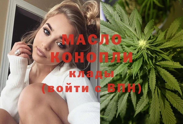 крисы Абаза