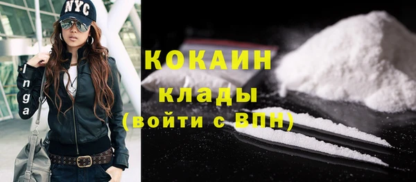 крисы Абаза