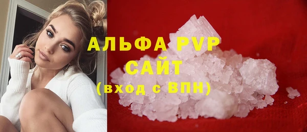 крисы Абаза