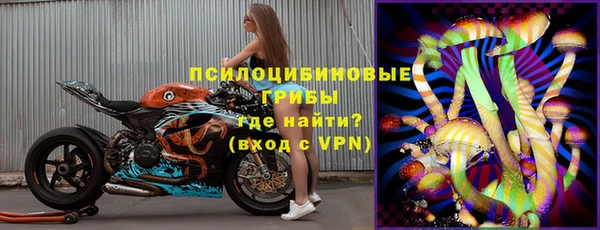 крисы Абаза