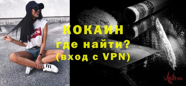 крисы Абаза