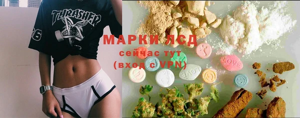 крисы Абаза
