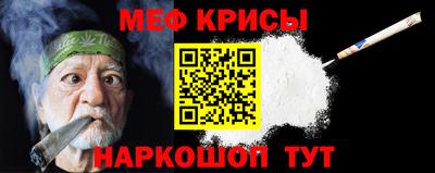 бошки Кингисепп