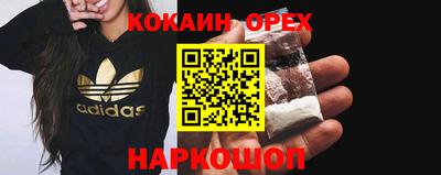 бошки Кингисепп