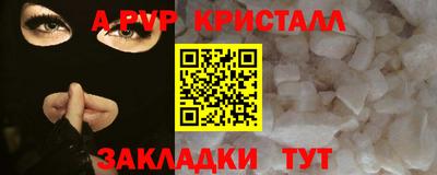 бошки Кингисепп