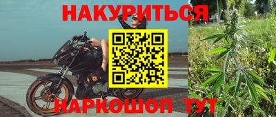 крисы Кинель