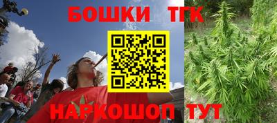 бошки Кингисепп