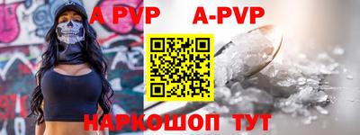 бошки Кингисепп