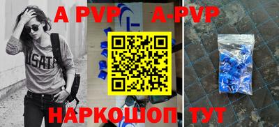 бошки Кингисепп