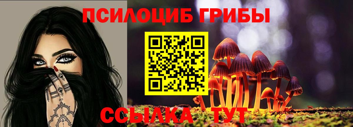 Лангепас  Галлюциногенные грибы Psilocybe  где купить наркоту  Вход с VPN 